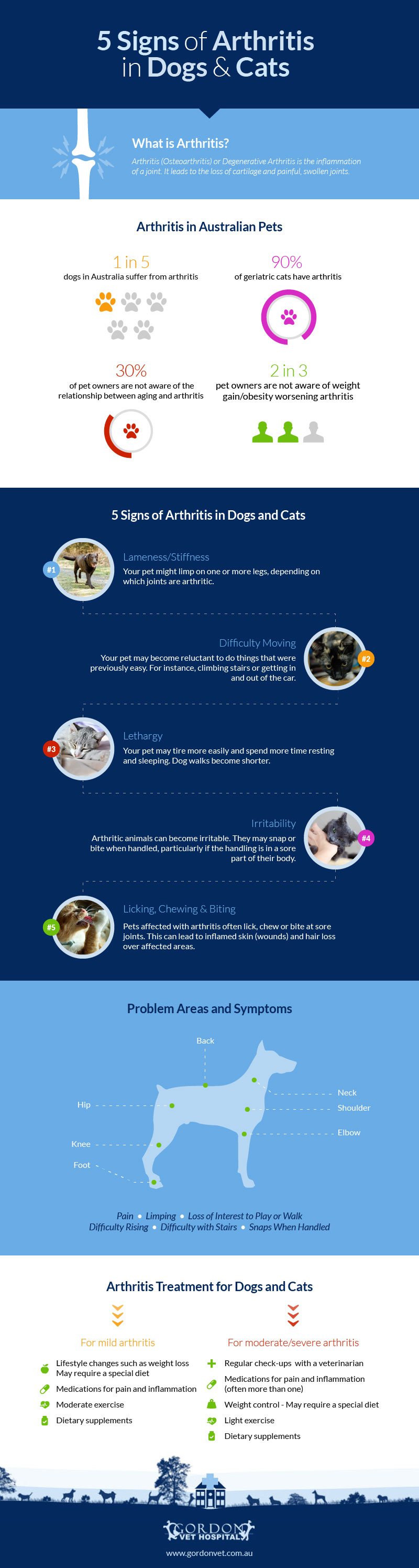 5-signs-arthritis-dogs-cats