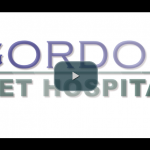 Gordon Vet Hospital