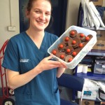 Nurse Hollie and her Birthday cupcakes