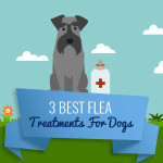 3-best-flea-treatments-for-dogs-thumb