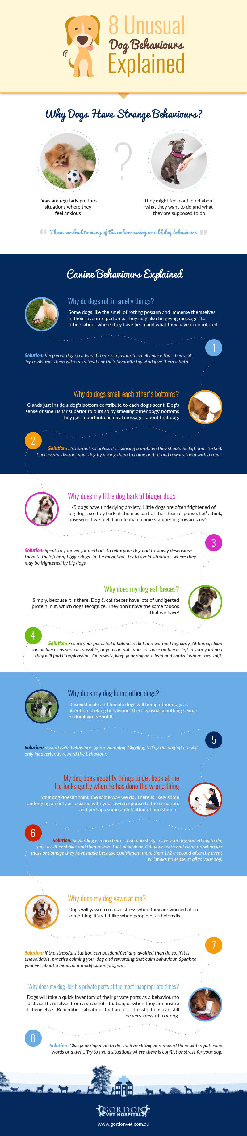 8-unusual-behaviors-infographic