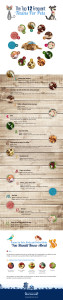 top 12 frequent-toxins for pets infographic