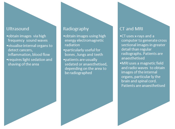 Imaging-Chart