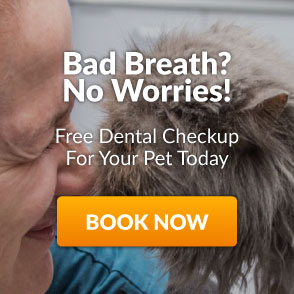 free dental checkup