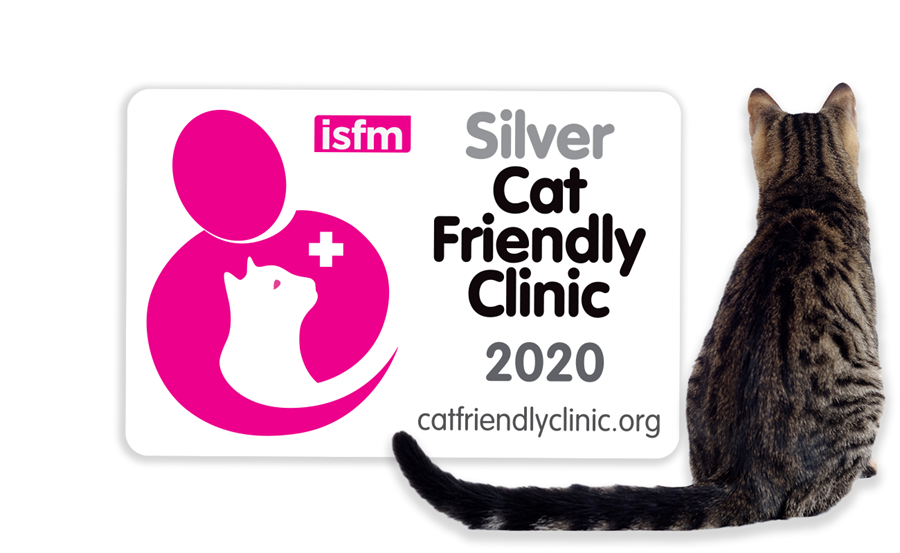 Cat Friendly Silver Certification Badge